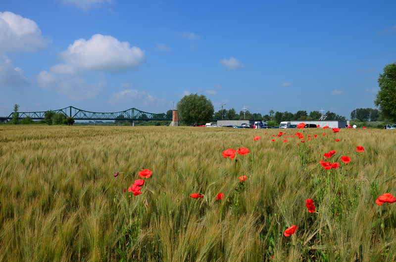 Manewry 2014 wisla 0013